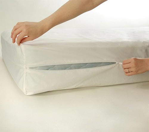 Bedguard Protector