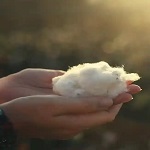 Organic Cotton Futon Covers