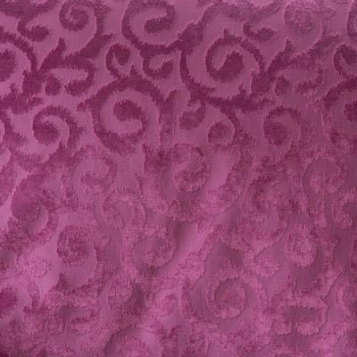 Fuschia Velvet