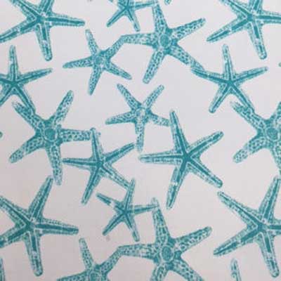 Starfish Aqua