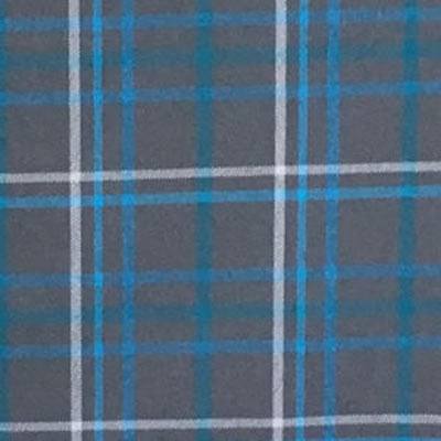Blue Plaid