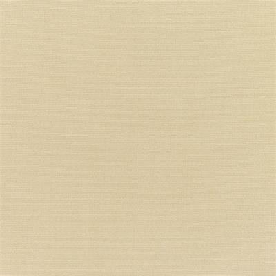 Canvas Antique Beige