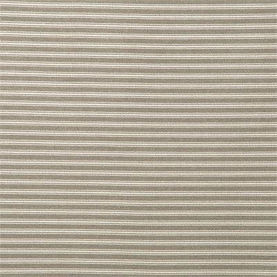 Everlast Stripe Greige