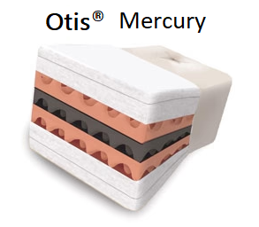 Mercury Futon Mattress