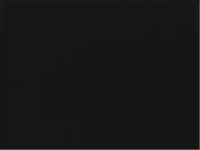 Organic Black Cotton Twill