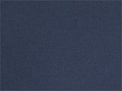 Organic Blue Cotton Duck