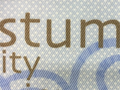 Organic Stumps Speak Denim Futon Cover