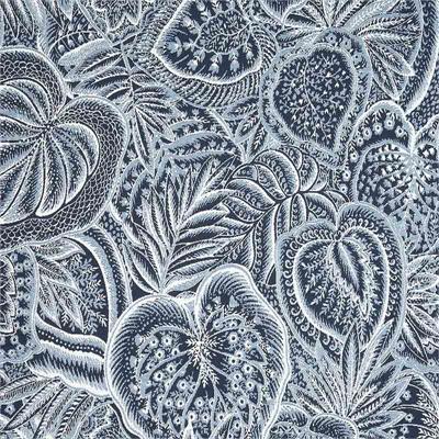 Sensibility II Harbor