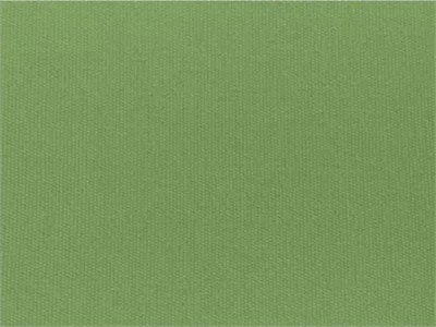 Organic Cotton Avocado Twilltton Twill Futon Cover