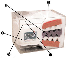 Phoenix Futon Mattress