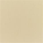 Canvas Antique Beige