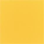 Canvas Sunflower Yellow