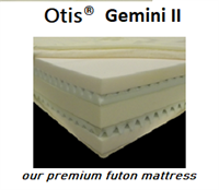 Gemini 2 Futon Mattress