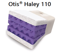 Haley 110 Futon Mattress