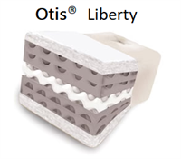 Liberty Futon Mattress