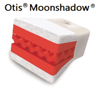 Moonshadow Futon Mattress
