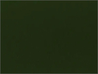 Organic Olive Cotton Twill