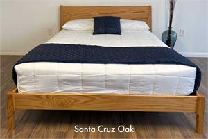 Santa Cruz in Oak