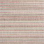 Sandpiper Stripe Coral