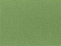 Organic Cotton Avocado Twilltton Twill Futon Cover