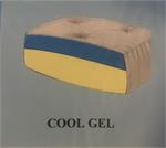 Cool Gel Cut out