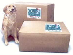 Otis Futon Box