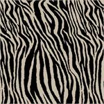 Zebra Zen